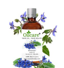 Dầu hoa lưu ly borage bán sỉ buôn lít giá rẻ