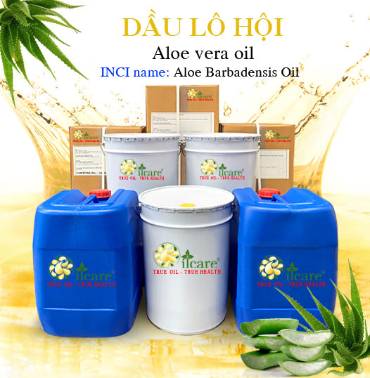 Chuyên Bán Buôn Dầu Lô Hội (Nha Đam) Giá Sỉ Với Số Lượng Lớn (Thùng, Phuy)