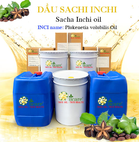 Chuyên Bán Buôn Dầu Sacha Inchi Giá Sỉ Với Số Lượng Lớn (Thùng, Phuy)