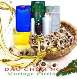 Dầu hạt chùm ngây moringa bán sỉ buôn lít giá rẻ