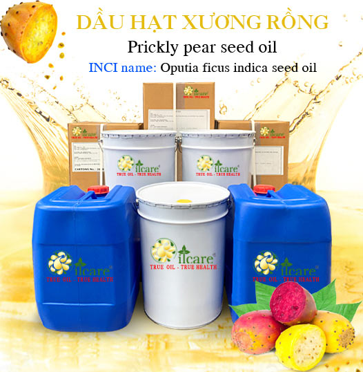 Chuyên Bán Buôn Dầu Hạt Xương Rồng Giá Sỉ Với Số Lượng Lớn (Lít, Kg, Thùng, Phuy)