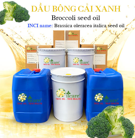 Chuyên Bán Buôn Dầu Bông Cải Xanh Giá Sỉ Với Số Lượng Lớn (Lít, Kg, Thùng)
