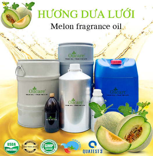 Chuyên Bán Buôn Hương Dưa Lưới Giá Sỉ Với Số Lượng Lớn (Thùng, Phuy)